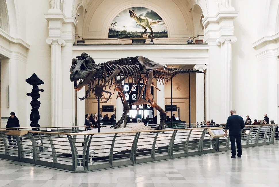 From Iconic Landmarks to Hidden Gems: Unforgettable Attractions and Activities in Chicago