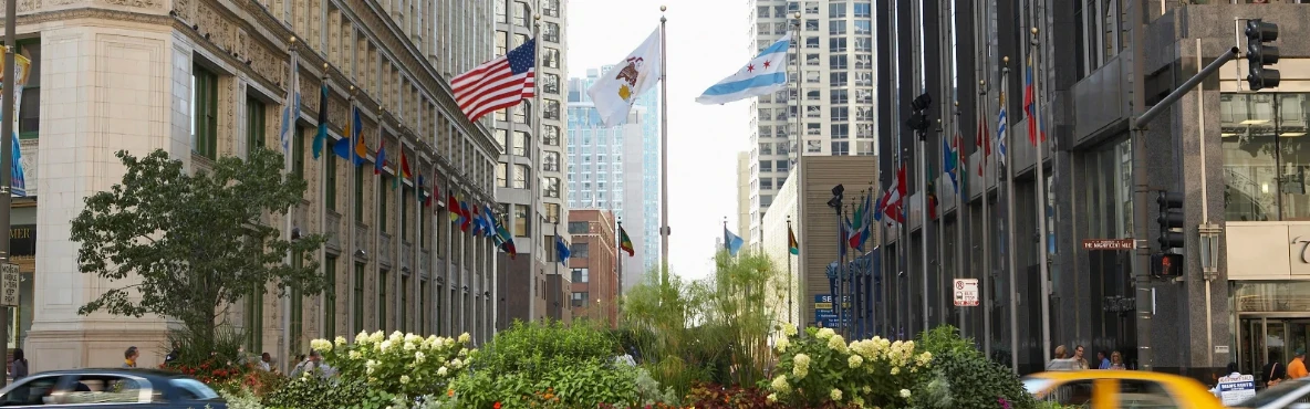 10 Most Popular Streets in Chicago