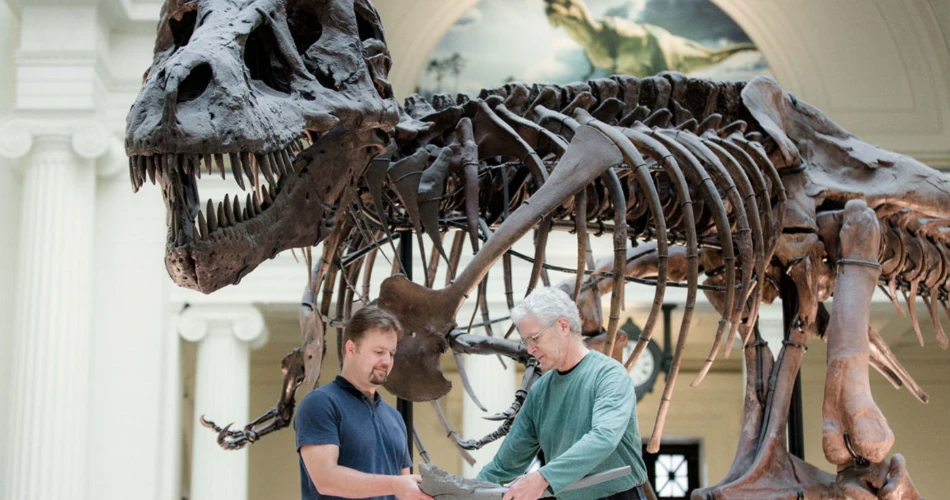 10 Best Facts About Chicago