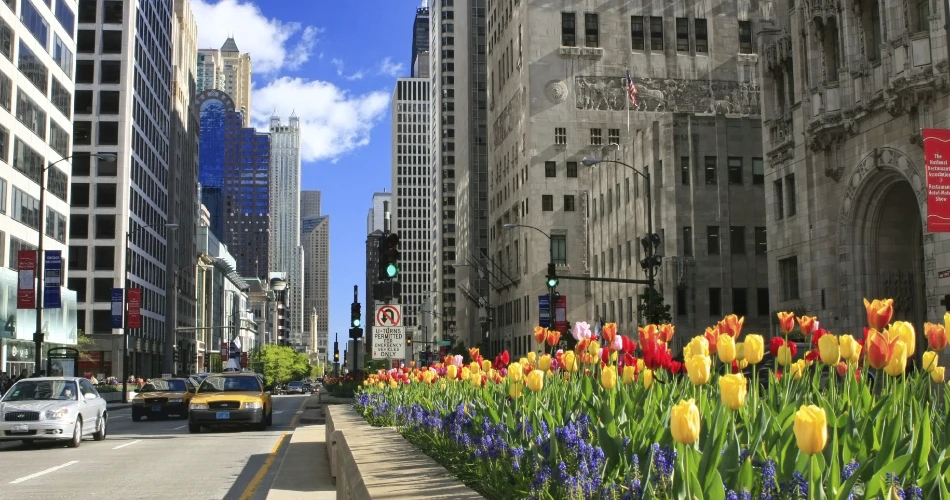 10 Best Things to Do in Chicago for Your First Visit