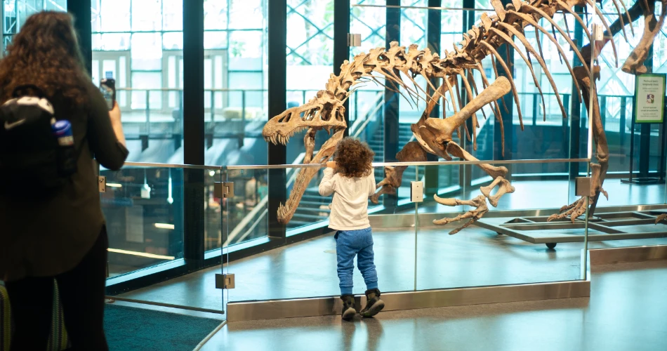 A Weekend in Chicago – Complete Guide