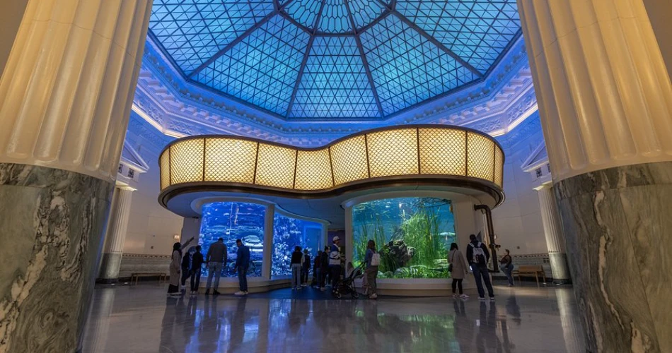 20 Best Things to Do in Chicago with Kids