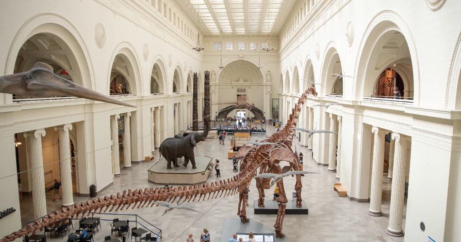 10 Best Museums and Galleries in Chicago