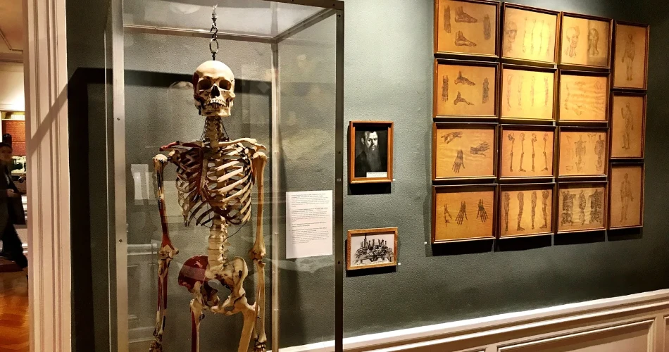 10 Best Museums and Galleries in Chicago